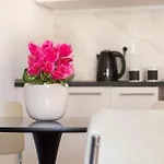 Apartmán Cozy & Chic - Piazza Bologna